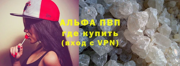 стаф Новокубанск