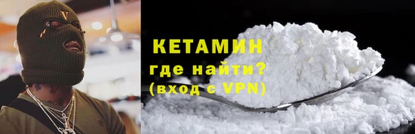 прущие грибы Новодвинск