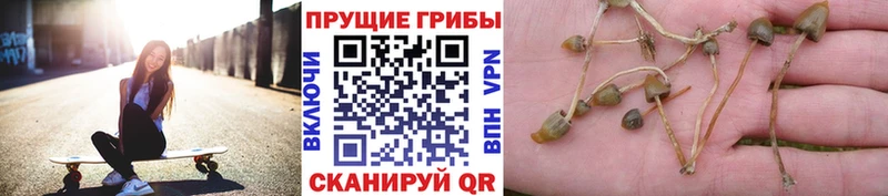 блэк спрут вход  где продают   Октябрьск  Галлюциногенные грибы MAGIC MUSHROOMS 